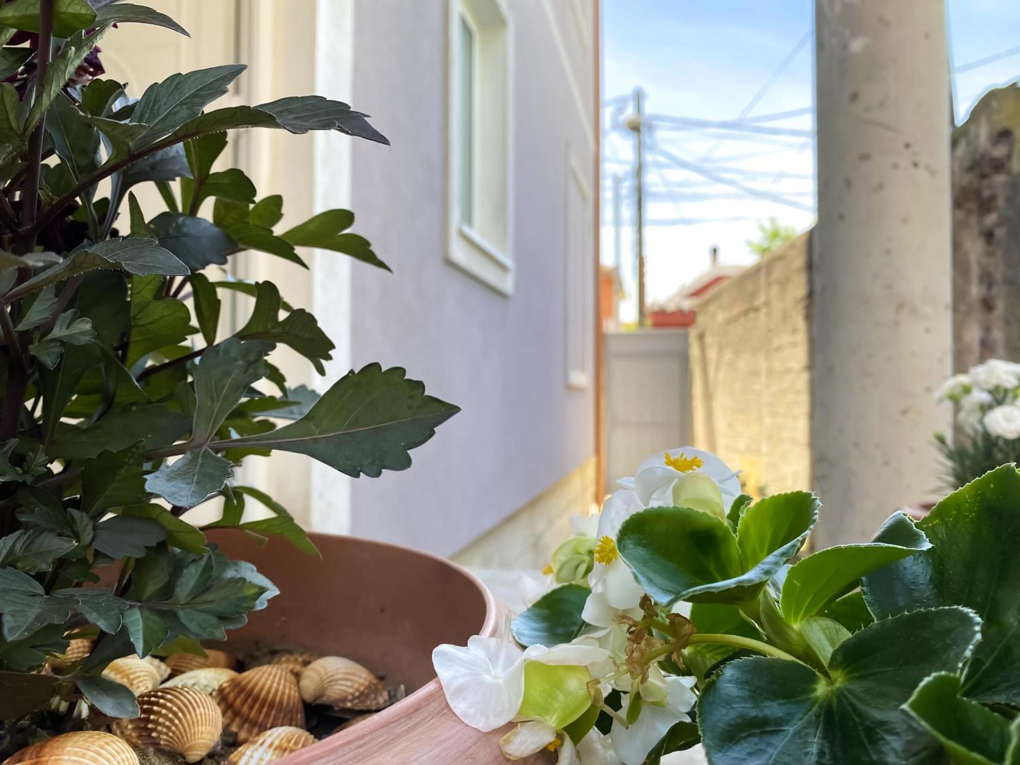 Northgate Apart-Villa Shkodër Dış mekan fotoğraf