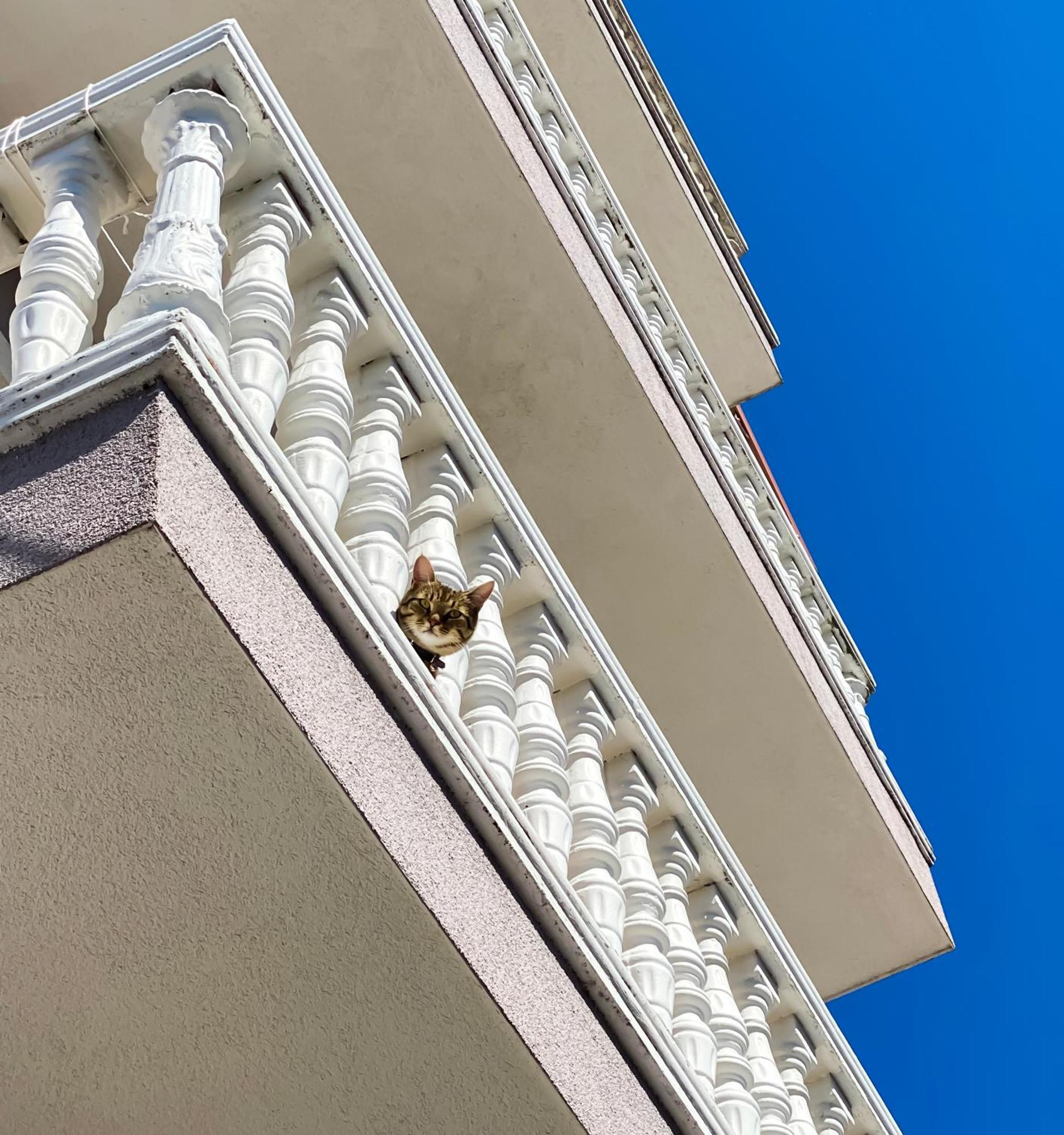 Northgate Apart-Villa Shkodër Dış mekan fotoğraf
